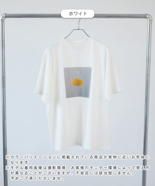 �A�C�e���C���[�W