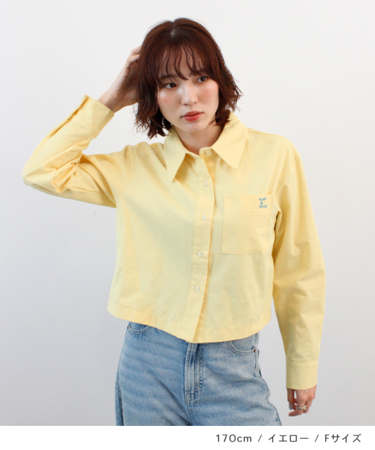 �A�C�e���C���[�W