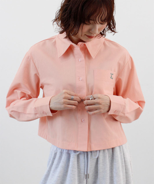 �A�C�e���C���[�W